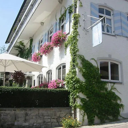 Adler Waltenhofen